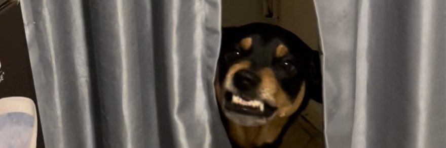 Lzzz_____'s profile banner image