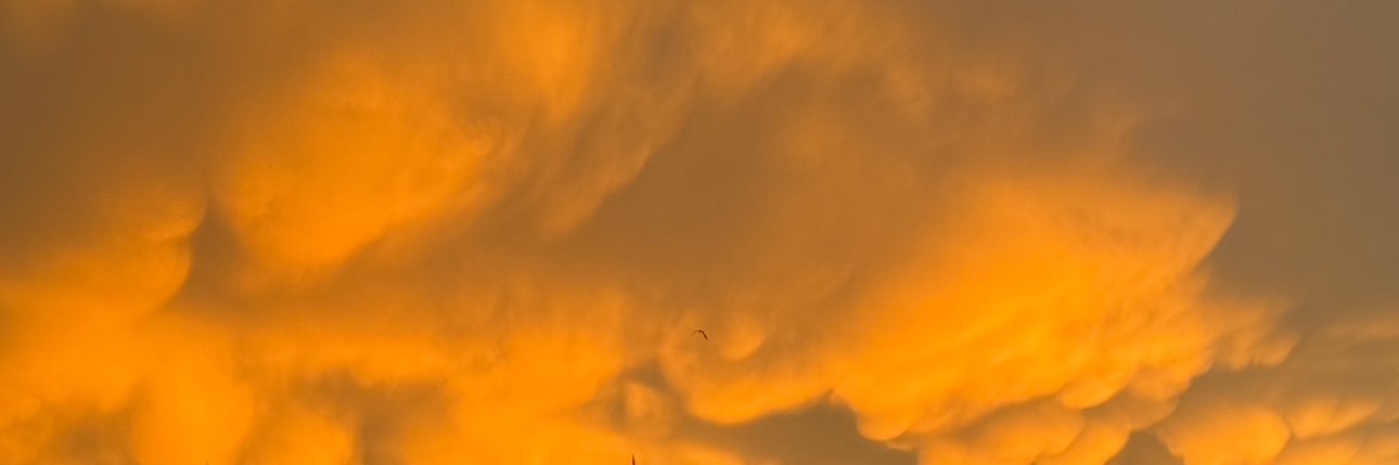 leano9445's profile banner image