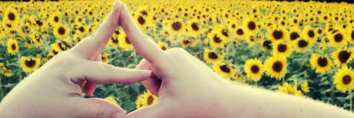 PhyllisLynnC's profile banner image