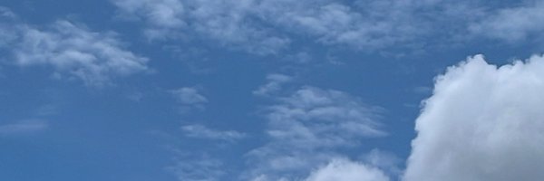 reinakub3012 Profile Banner