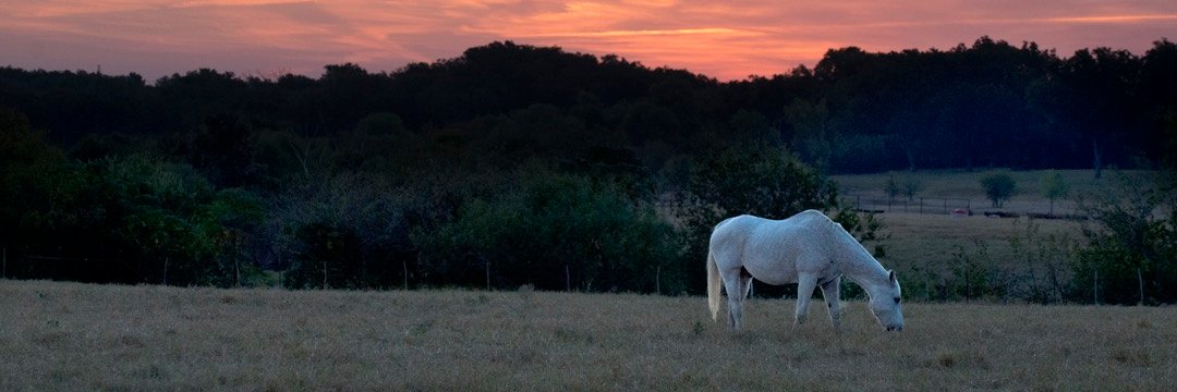 DanGattis's profile banner image