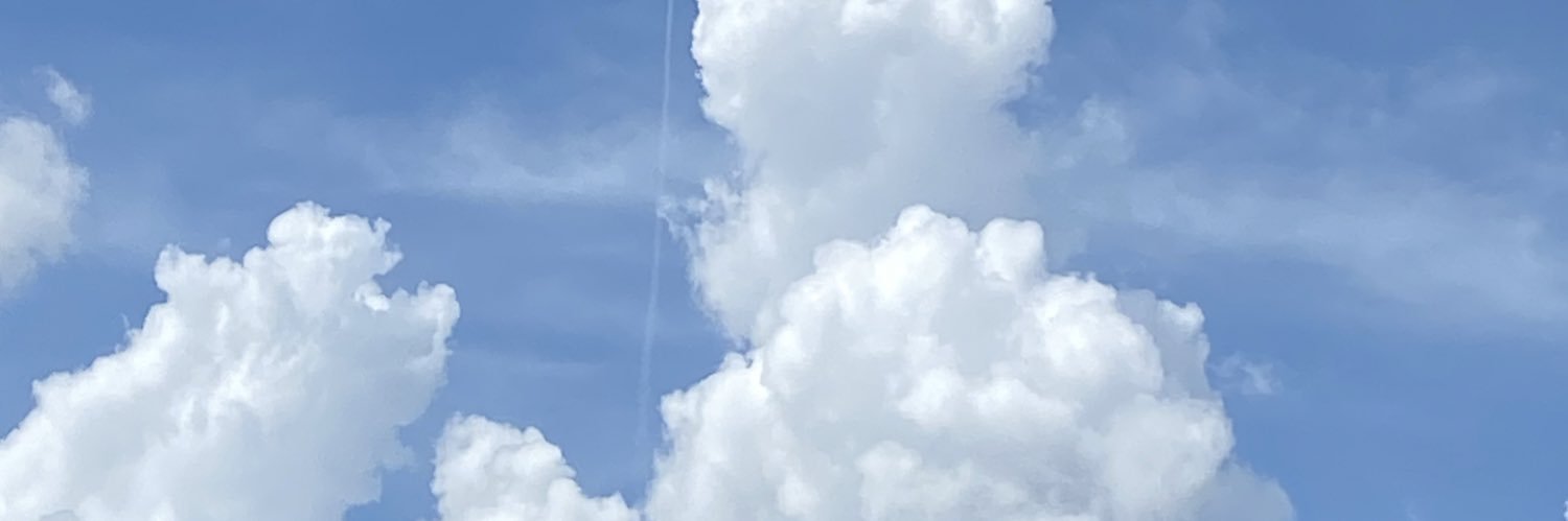 trueblueblonde's profile banner image