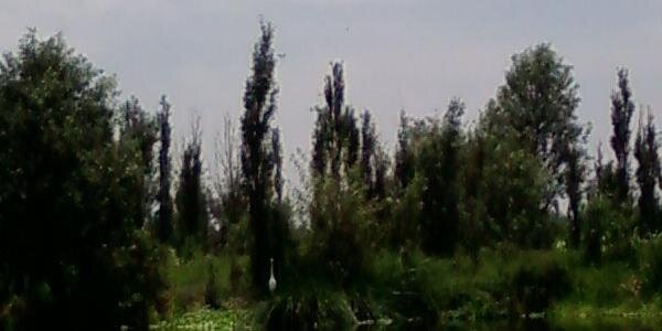 NotiXochimilco's profile banner image