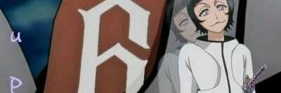 Luppi banner