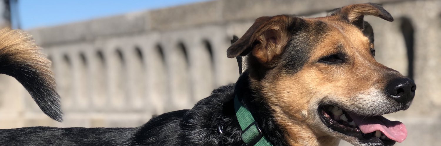 coatjones's profile banner image