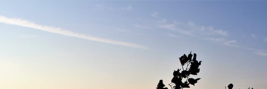 paras_jaiswal's profile banner image