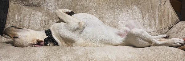 eru0902 Profile Banner