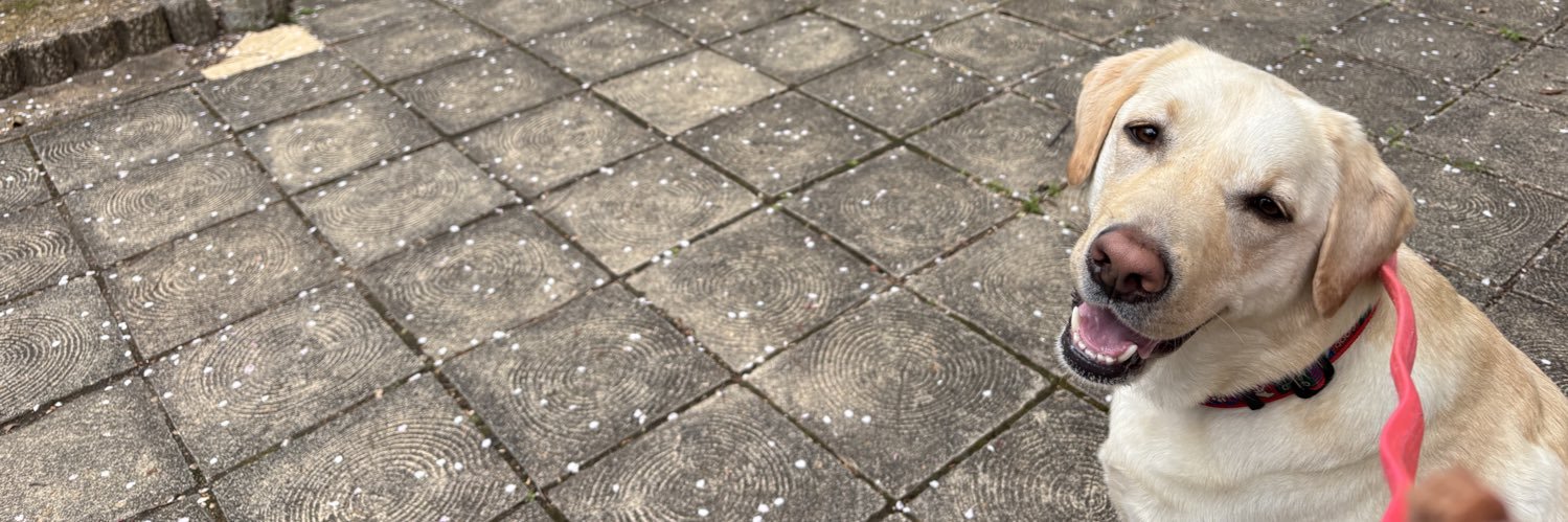 タレ目ラブ banner