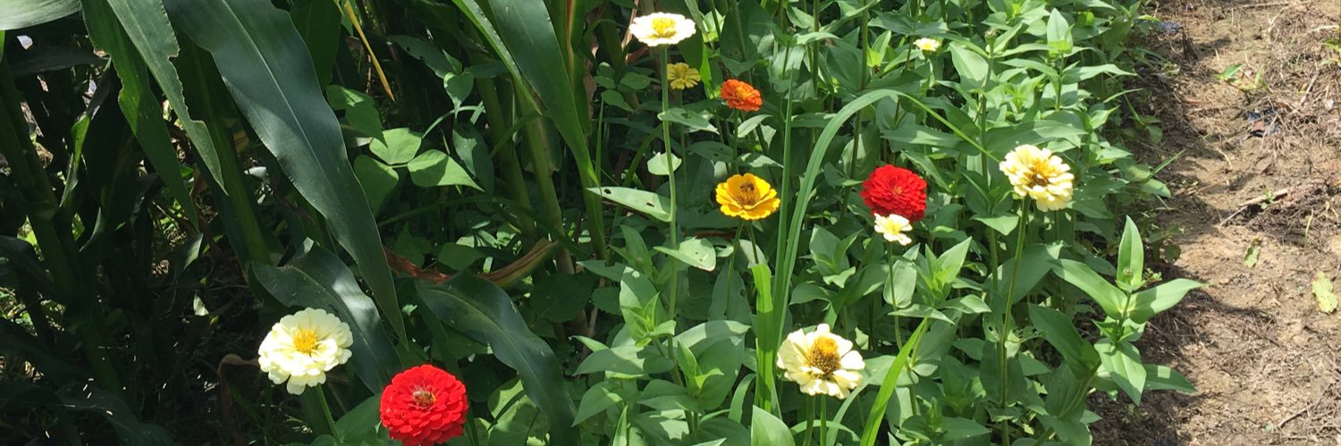chs9141's profile banner image