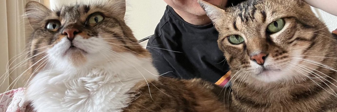 msgngz's profile banner image