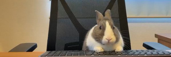 gudoknyang1001 Profile Banner