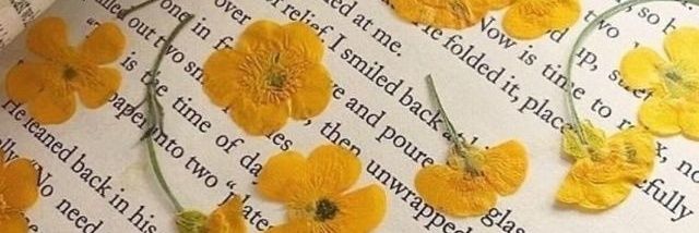 Audrei 🕊️ 🪞 banner