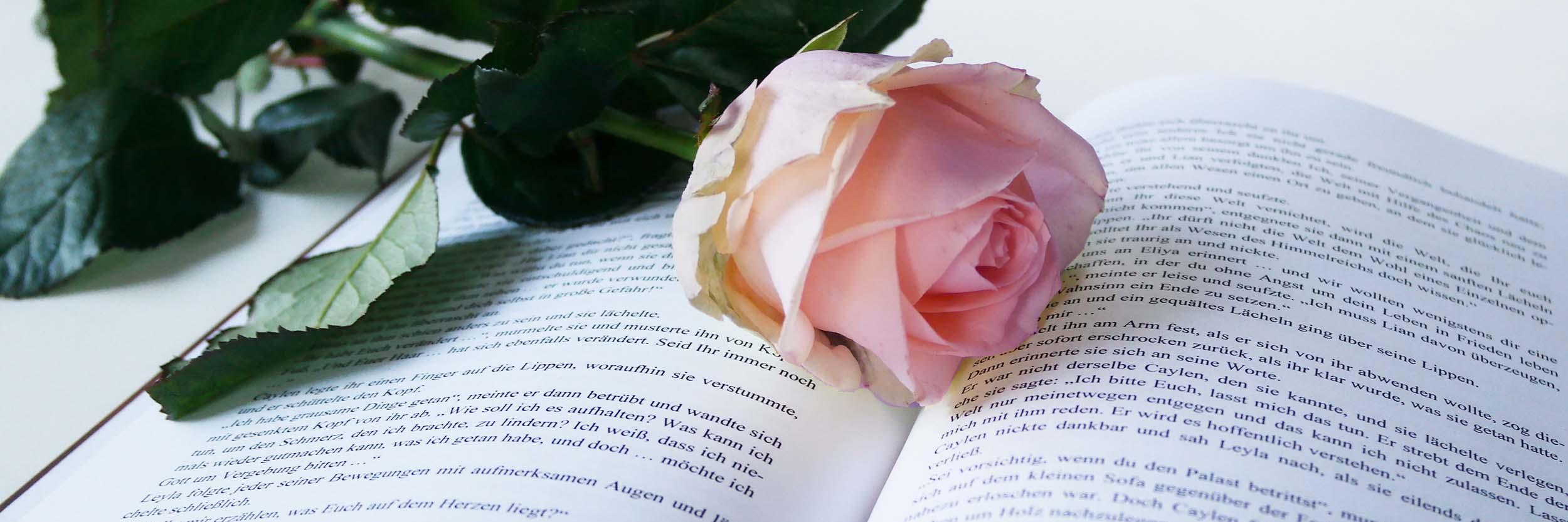 Stephanie Rose banner