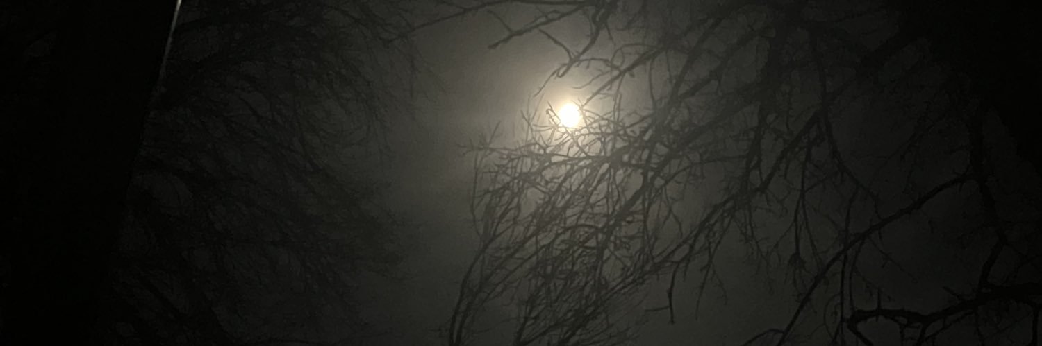 JadeRoseWesley's profile banner image