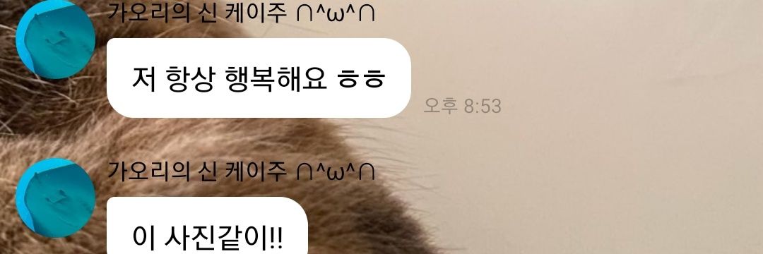 ʚ쭈ɞ banner