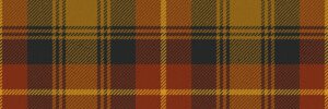 Somebody Somewhere banner