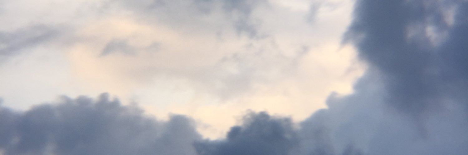 MrBluePips's profile banner image