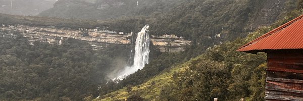 RiosD29 Profile Banner