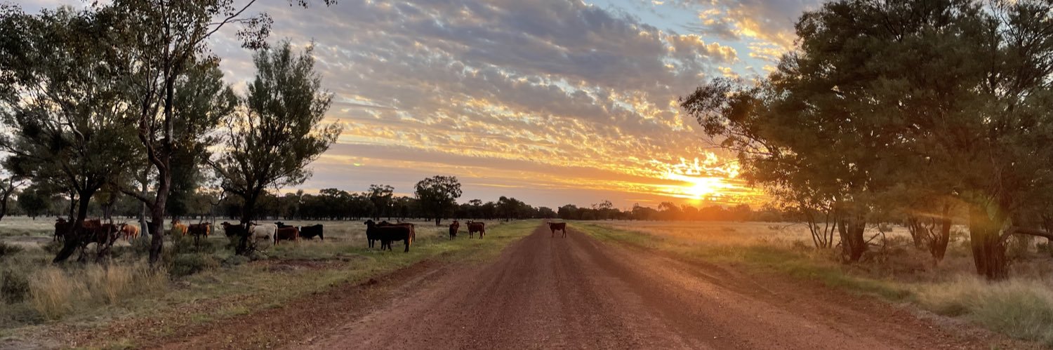 BAMCAM 🇦🇺 banner