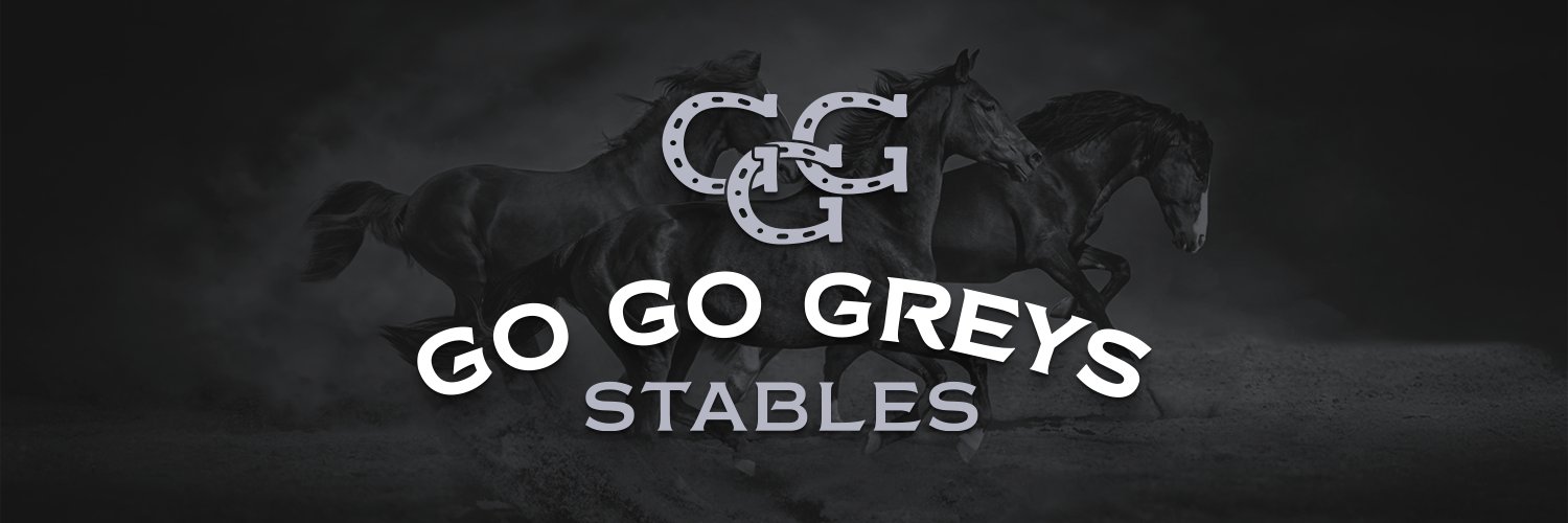 Go Go Greys Stables banner