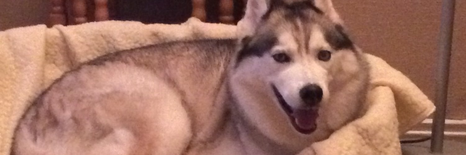 shellj9's profile banner image