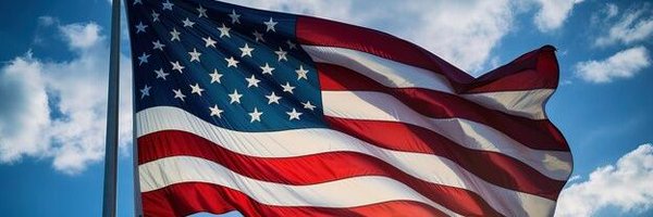 TheUSACastle Profile Banner