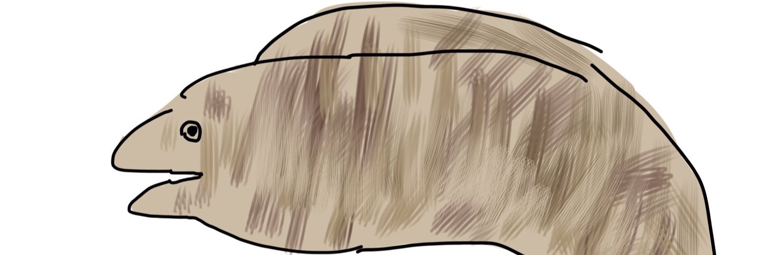 N_emu's profile banner image