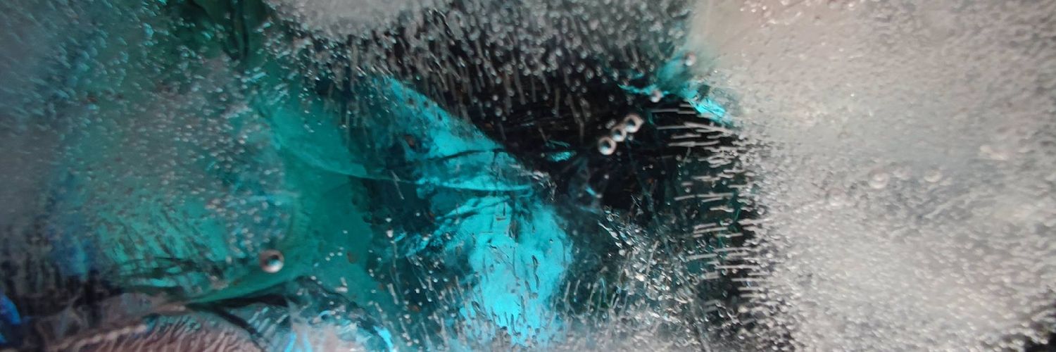 frozenloop banner