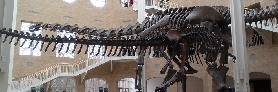 TheRealDinoSims's profile banner image
