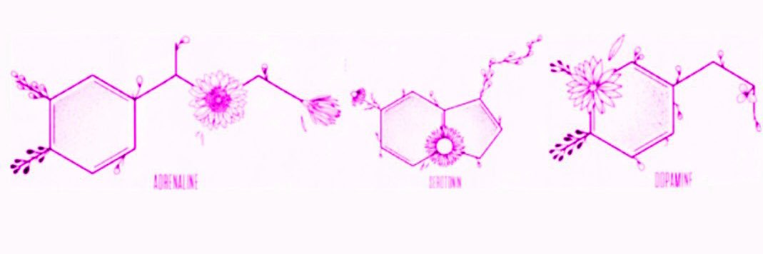 btlpk's profile banner image