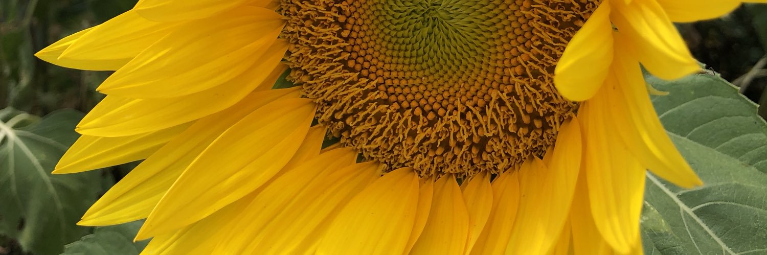 HCLocal's profile banner image