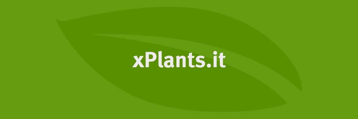 xplantsit's profile banner image