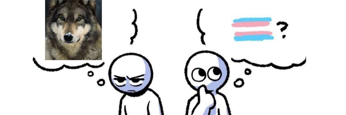 ProFemboySimp's profile banner image