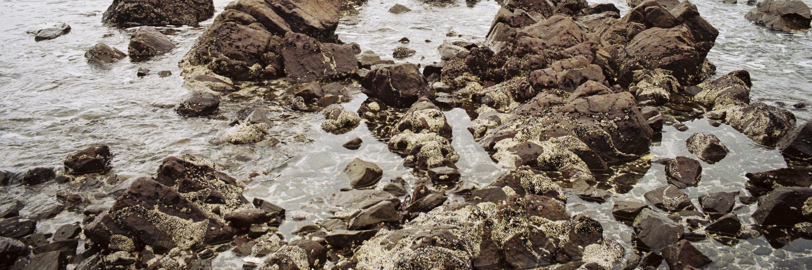 scoh3's profile banner image