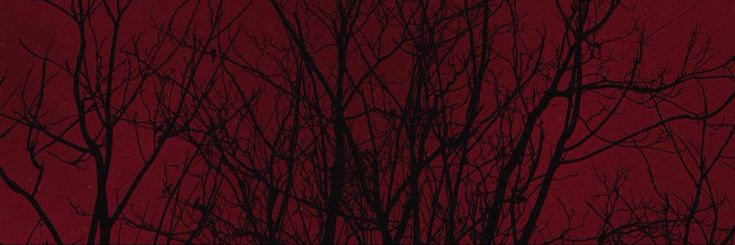 𝗦𝗰𝗿𝗼𝗹 banner