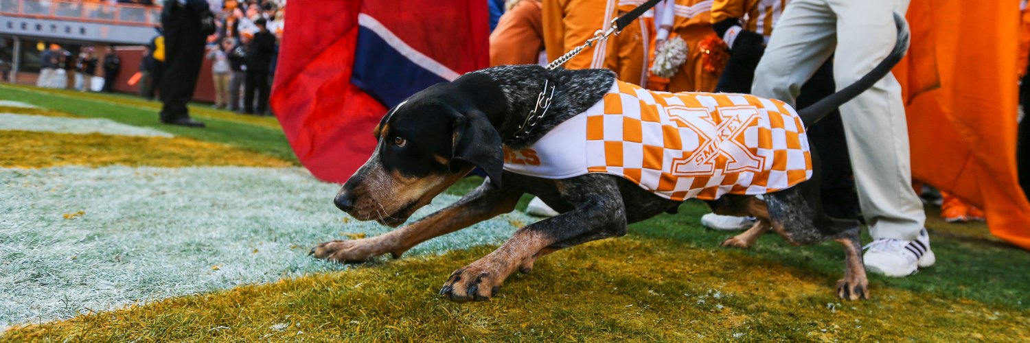 UT Knoxville Alumni banner