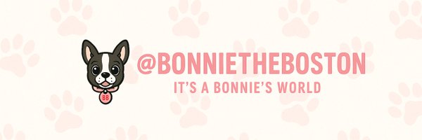 BonnieTheBoston Profile Banner