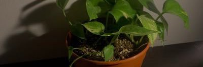 . banner