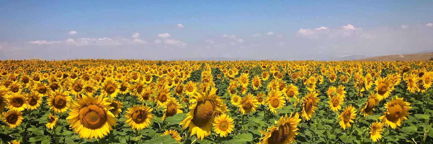 efeeryurt's profile banner image