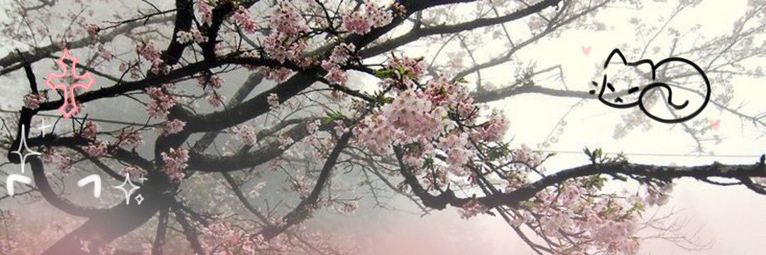 WDeerest🦌🐾 banner