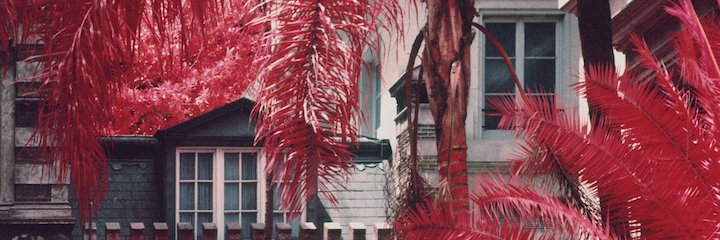 suz_h's profile banner image