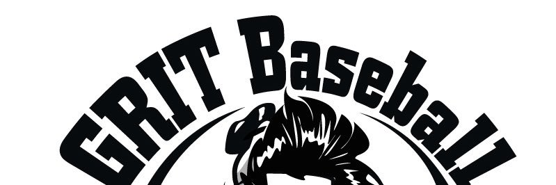 GRIT Baseball of Michigan banner