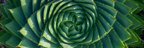 PlanetaryDesign Profile Banner