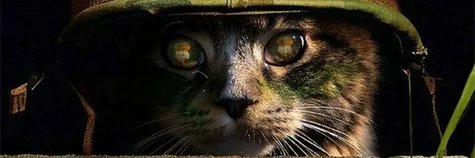 Kol__and's profile banner image