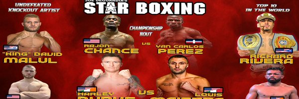 StarBoxing Profile Banner