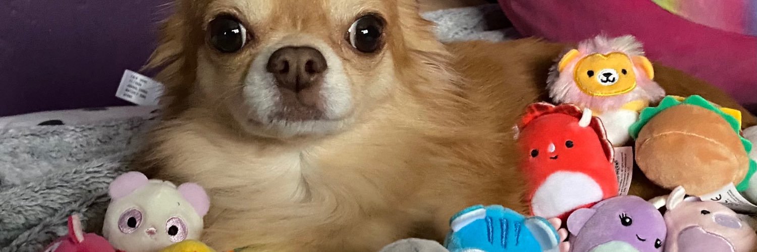 ShidaKay's profile banner image