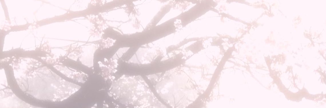 livmeows's profile banner image