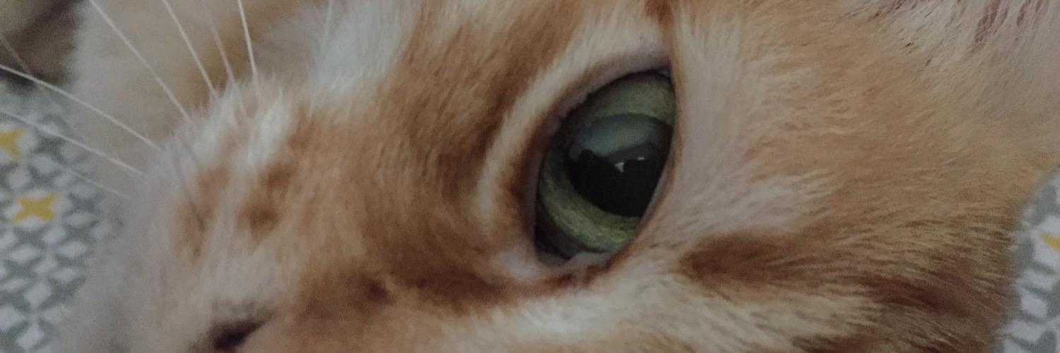 kat_hull's profile banner image