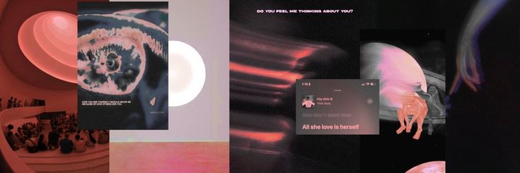 𝓝. banner