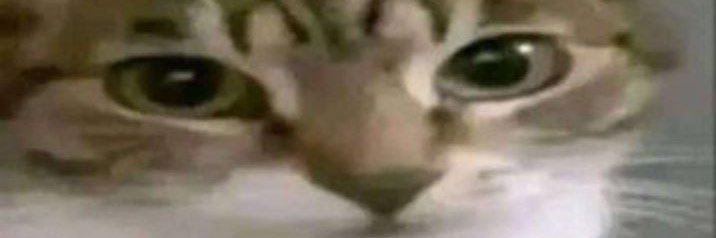 StipularGrainTew banner